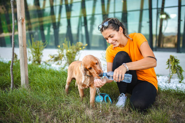 Young woman giving her thirsty dog water from the water bottle in the city park