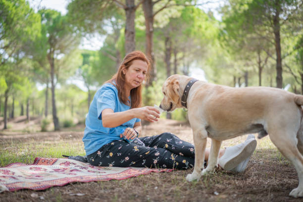 Woman giving a glass of water to her dog with forest and spring landscape in the background