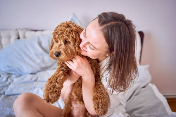 a  young woman playing and kissing cockapoo girl on bed, minimalism