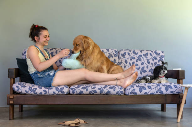 young woman sitting on the sofa playing and having fun with the dog.