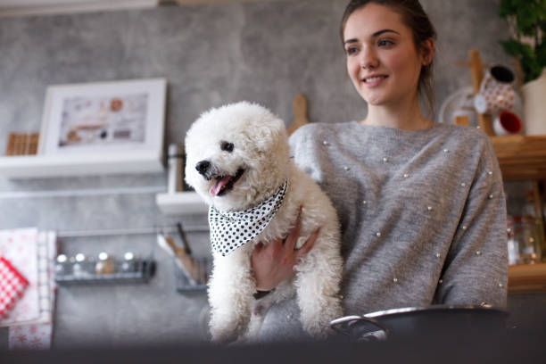 Young girl cooking in the kitchen, holding her bichon frise dog.