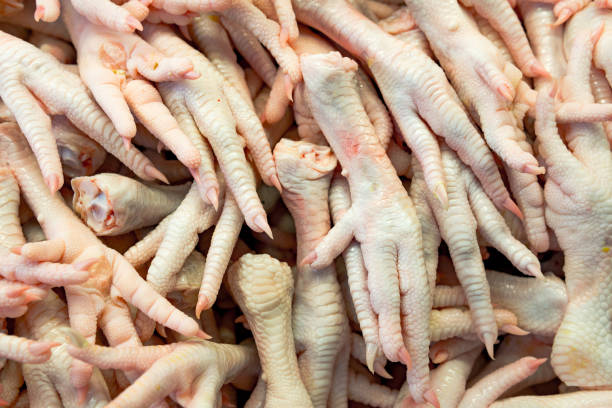 Are Chicken Feet Good for Dogs?